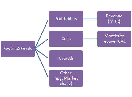 How SaaS companies grow