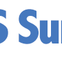 SaaS-Survey