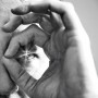 Actionable-Insights-shutterstock_154479155_thumb.jpg